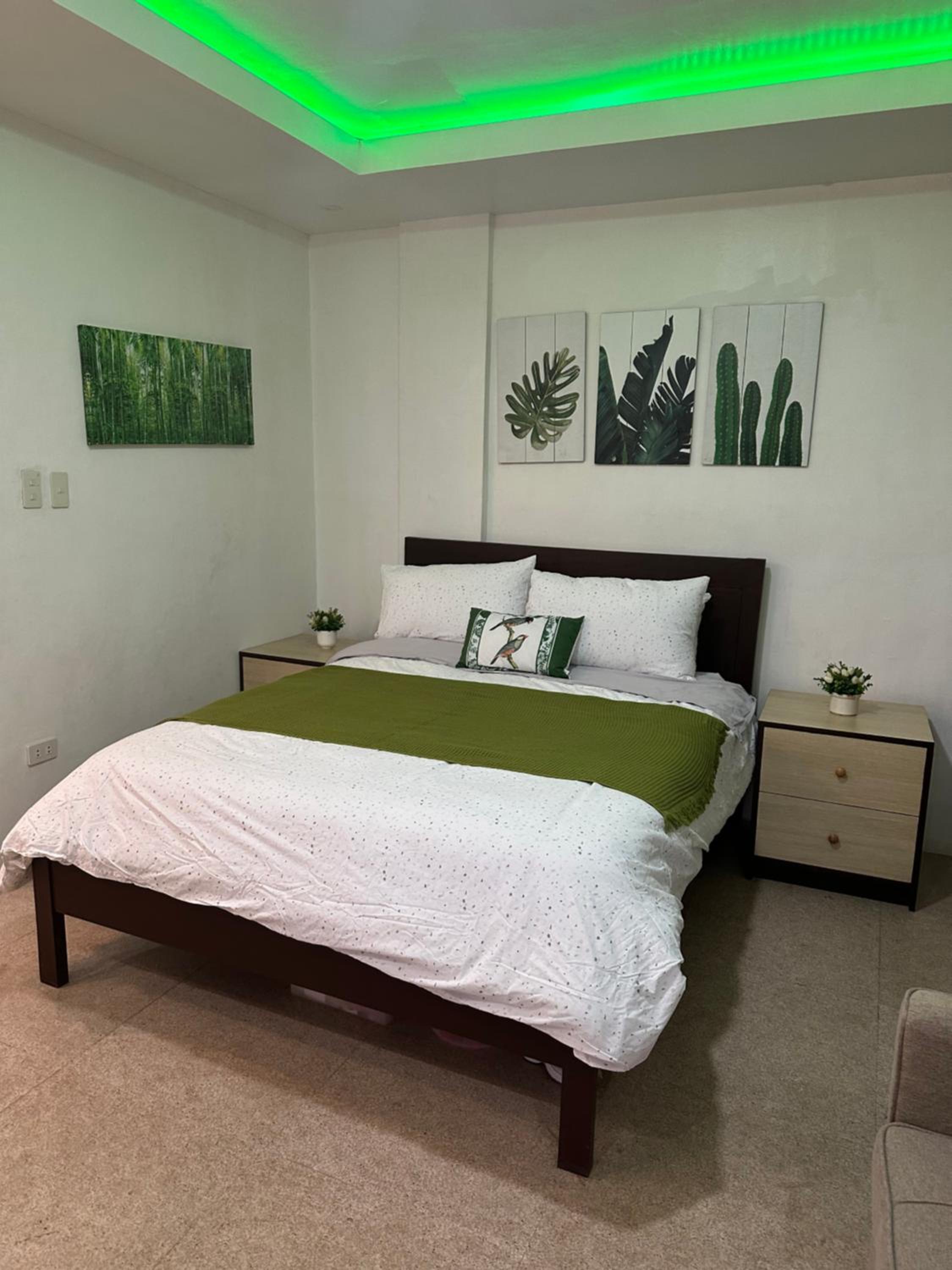 Entire apartment