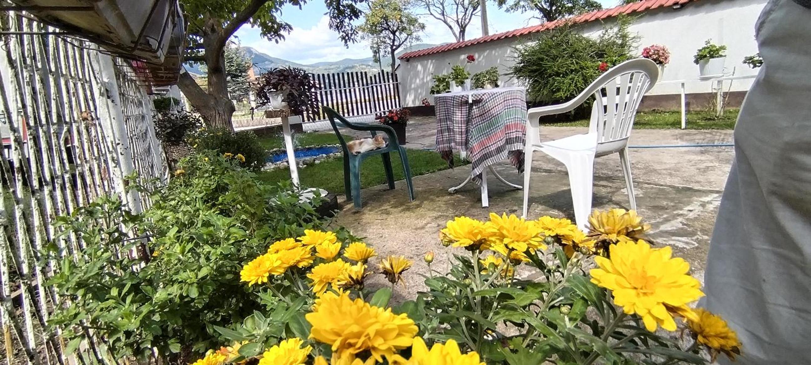 Photo 40
