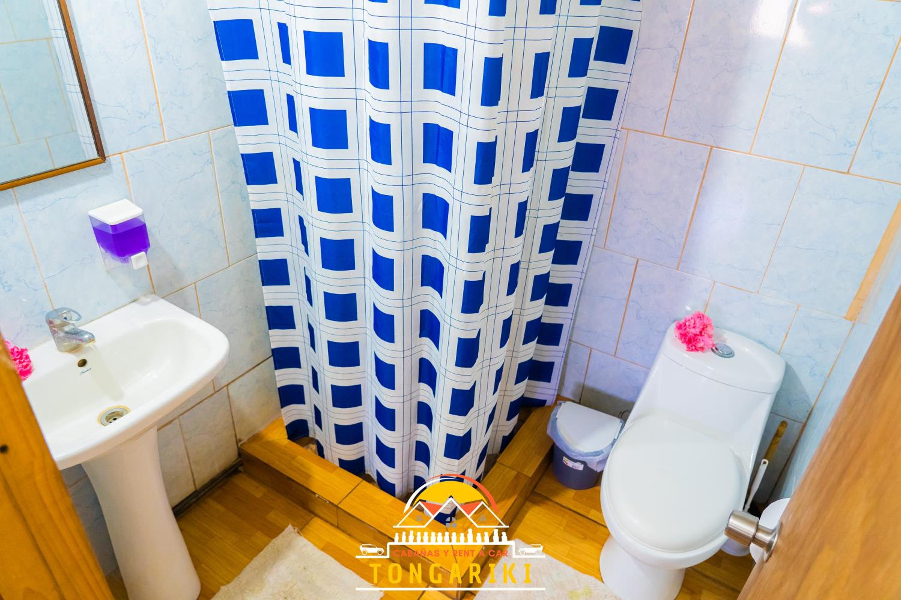 Cabaña Tongariki