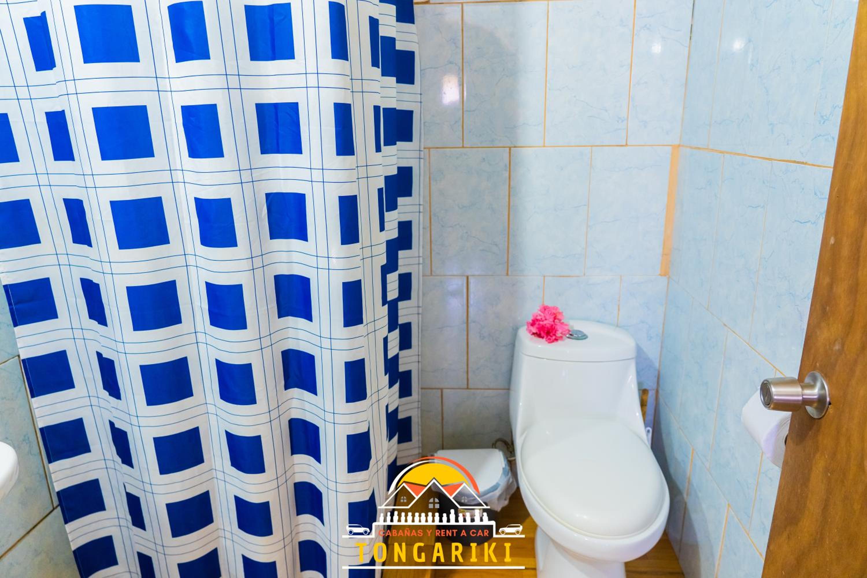 Cabaña Tongariki