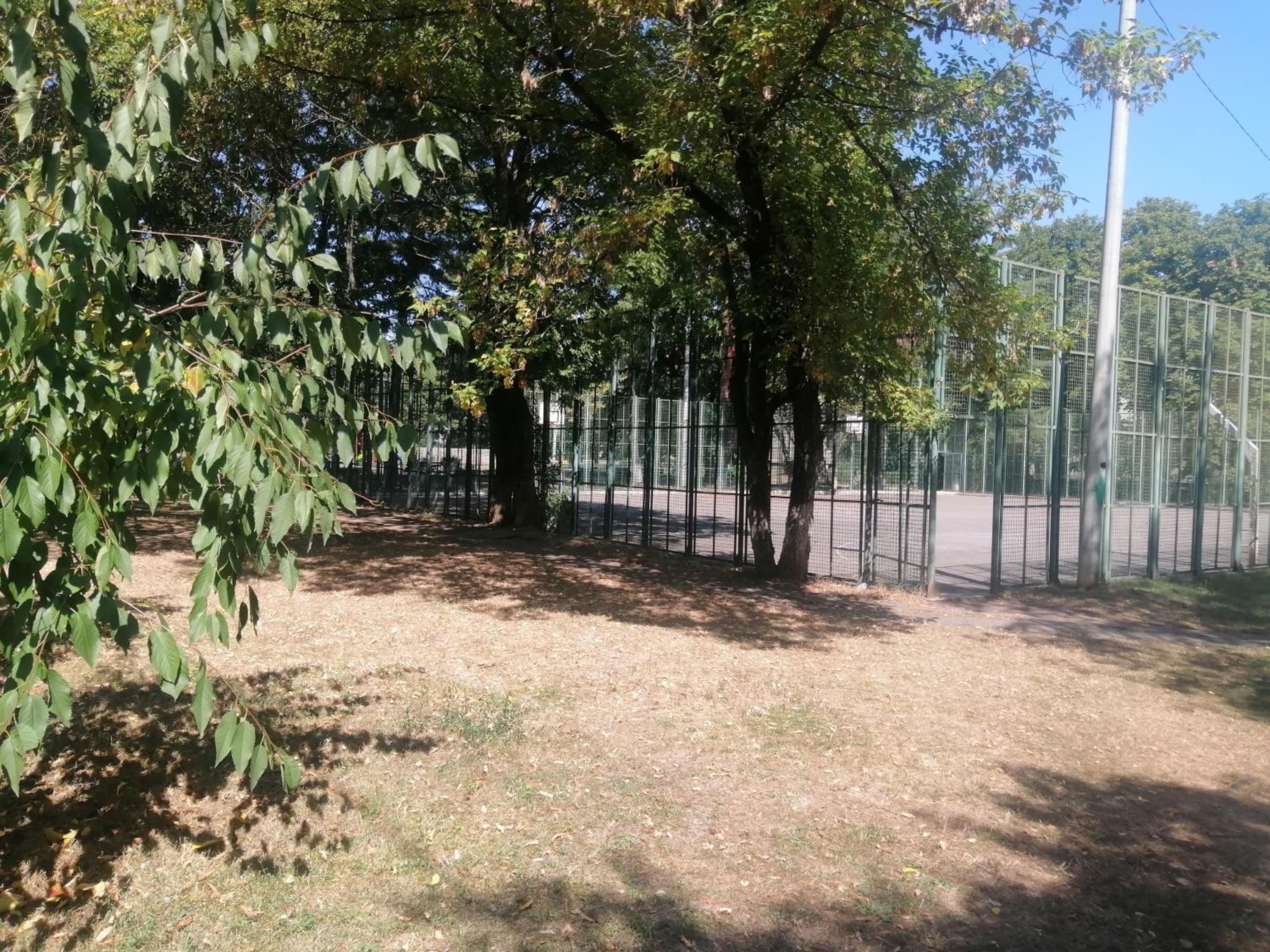 Photo 39