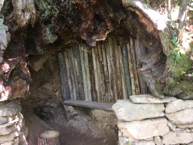 Photo 25