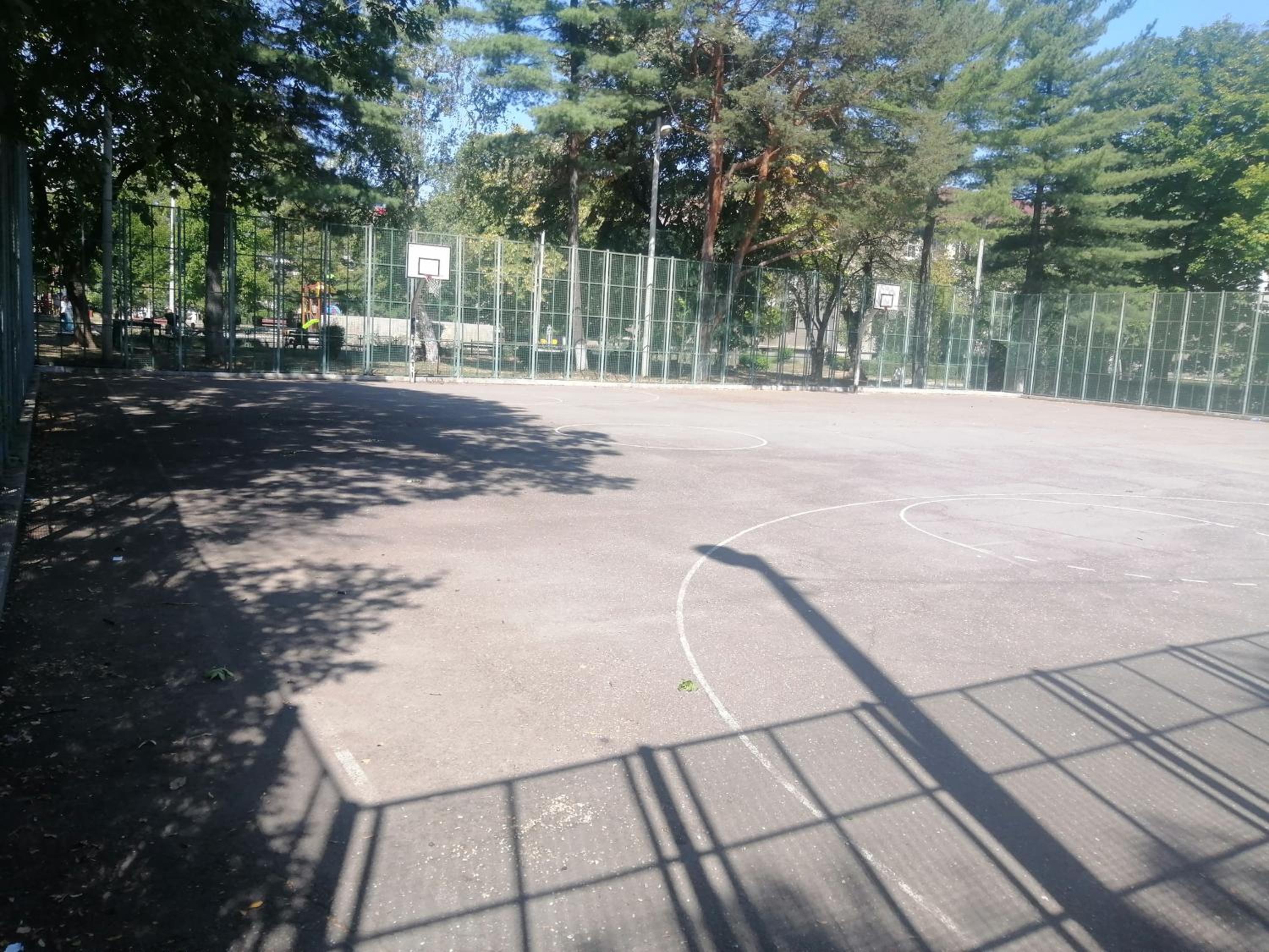 Photo 41