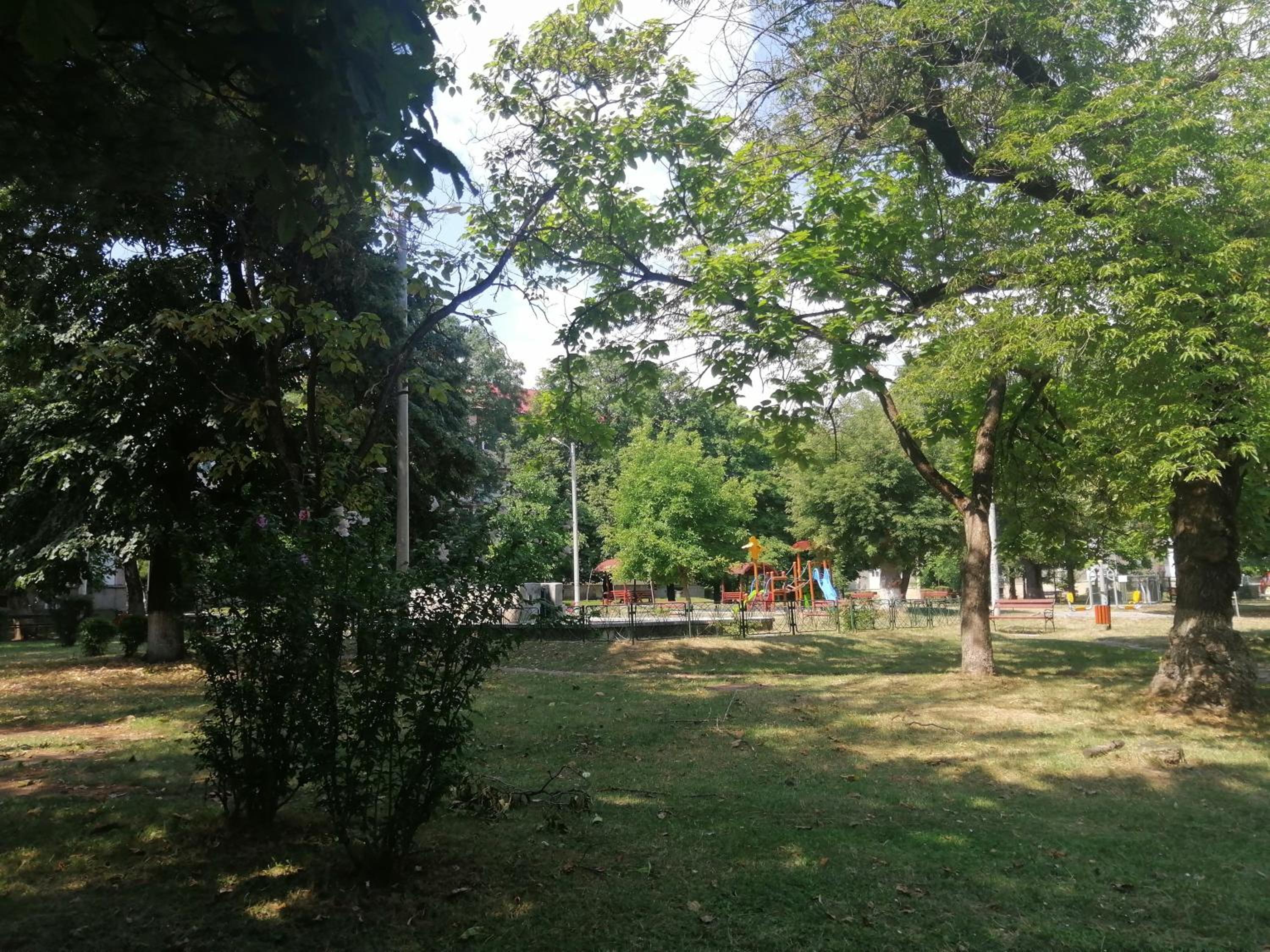 Photo 6