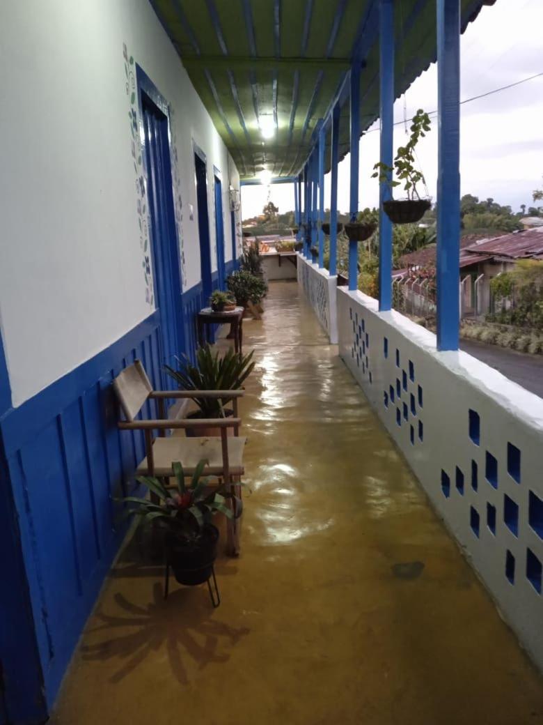Santa Irene de Palomino - Sevilla Valle del Cauca