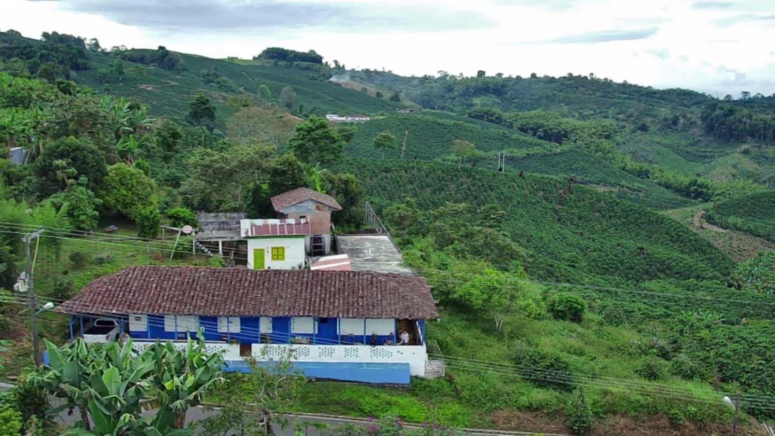 Santa Irene de Palomino - Sevilla Valle del Cauca