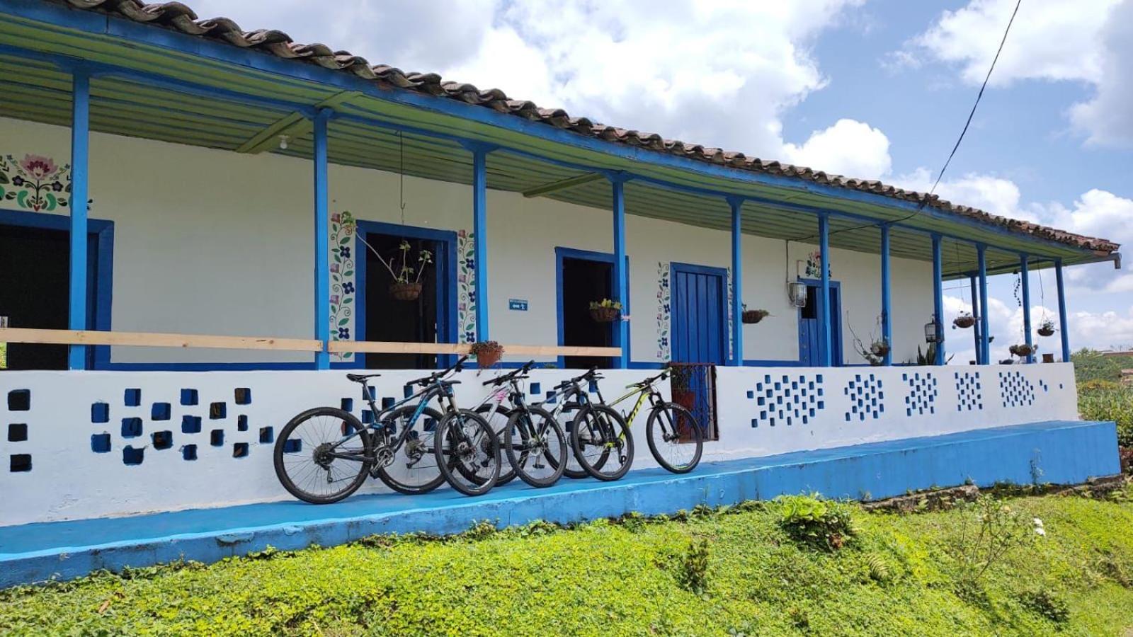 Santa Irene de Palomino - Sevilla Valle del Cauca