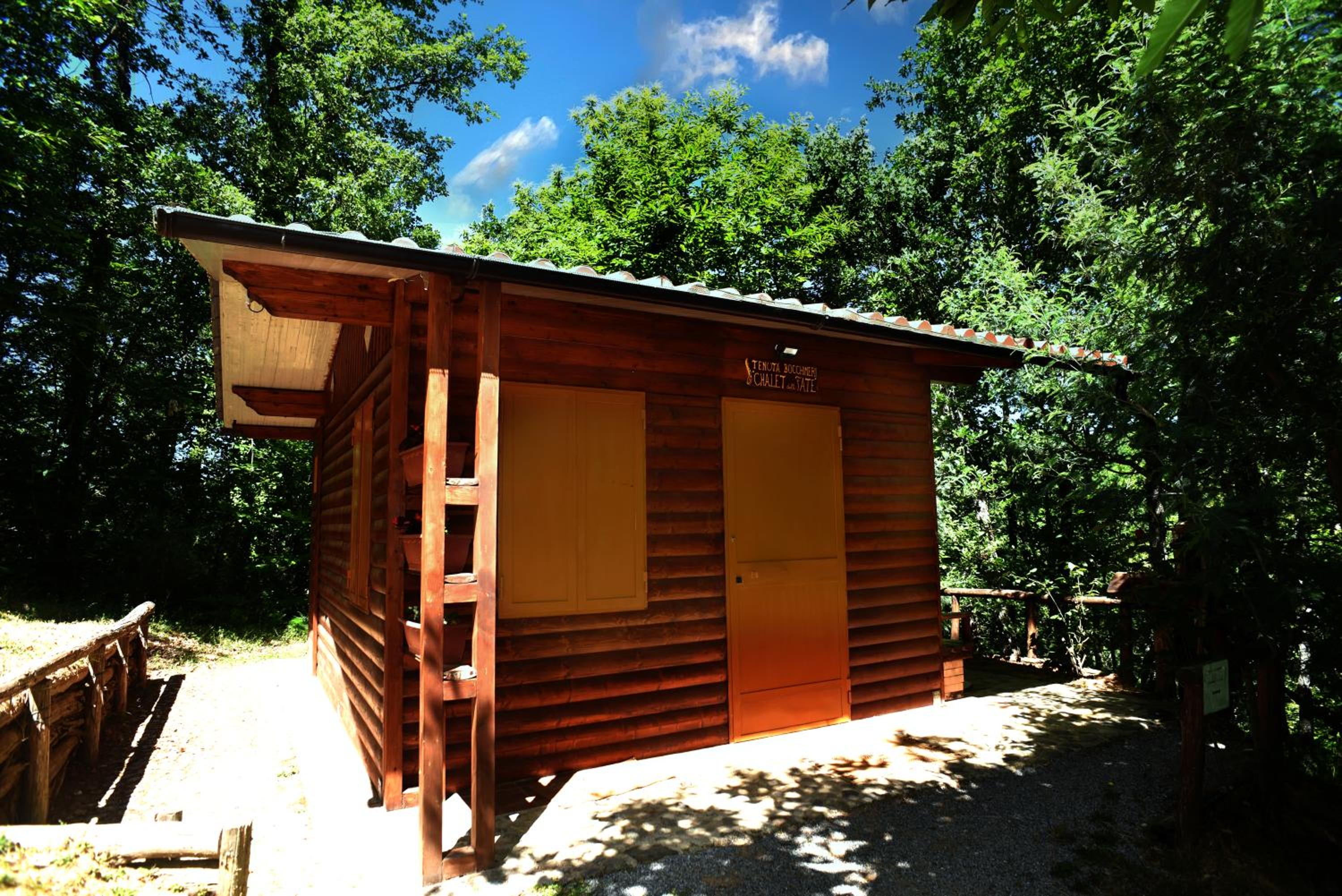 CHALET NEL BOSCO - TENUTA BOCCHINERI view 2