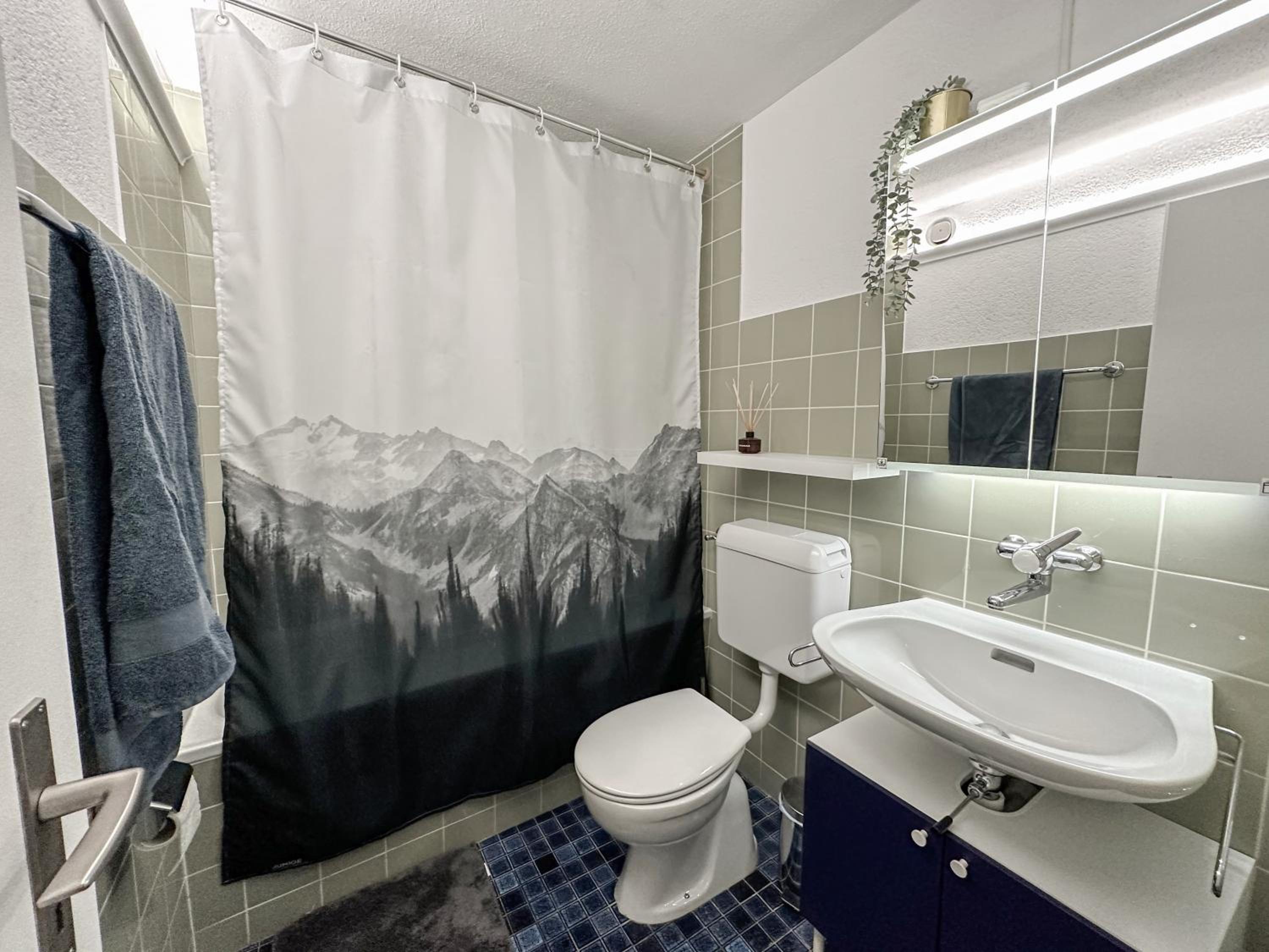Chalet Ribi