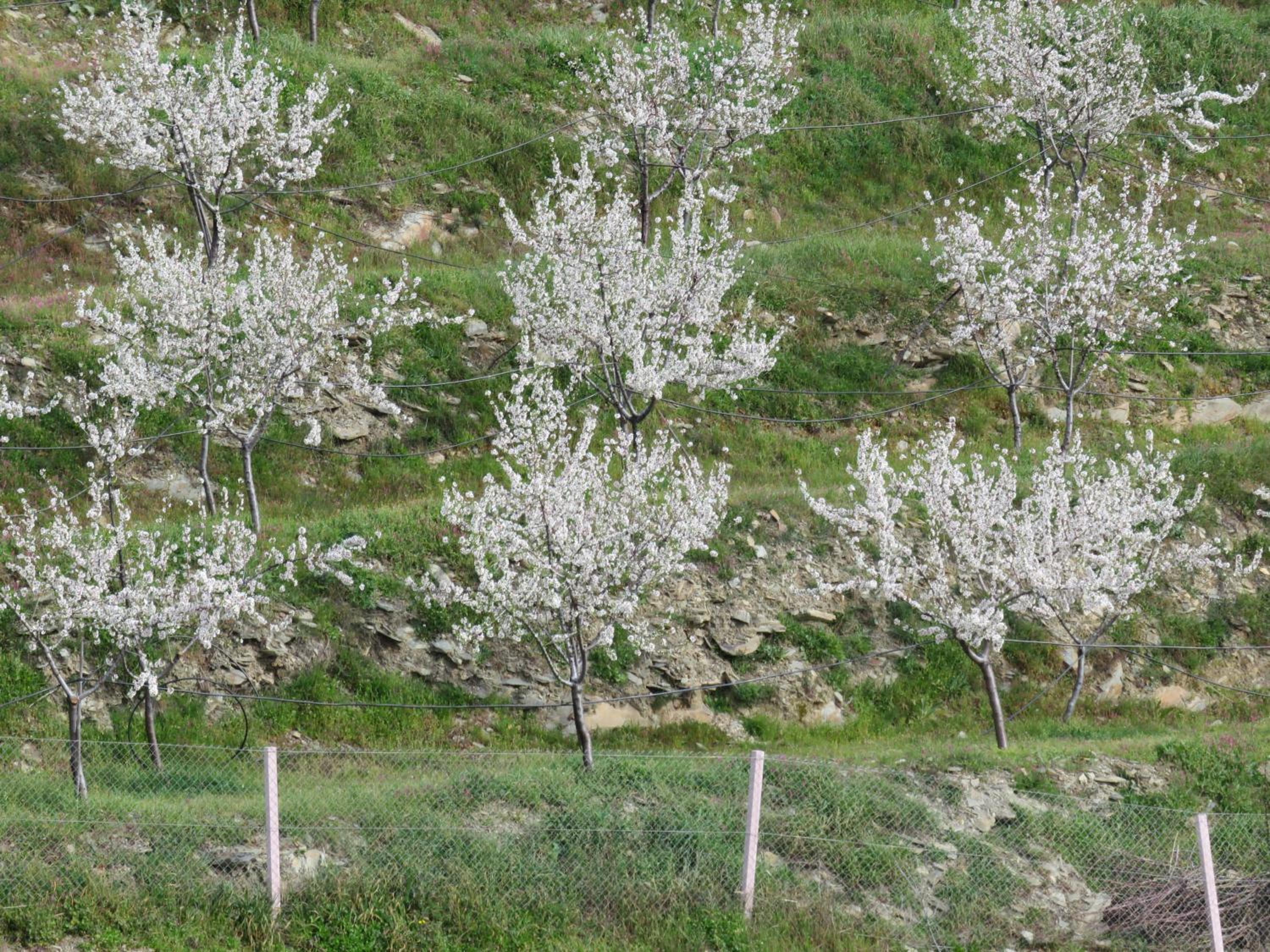 Photo 28