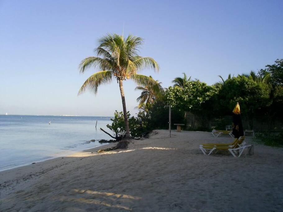 beachfront apartament next to nomads d1