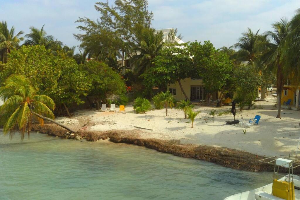 beachfront apartament next to nomads d1