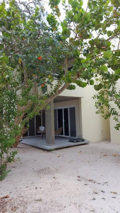 beachfront apartament next to nomads d1