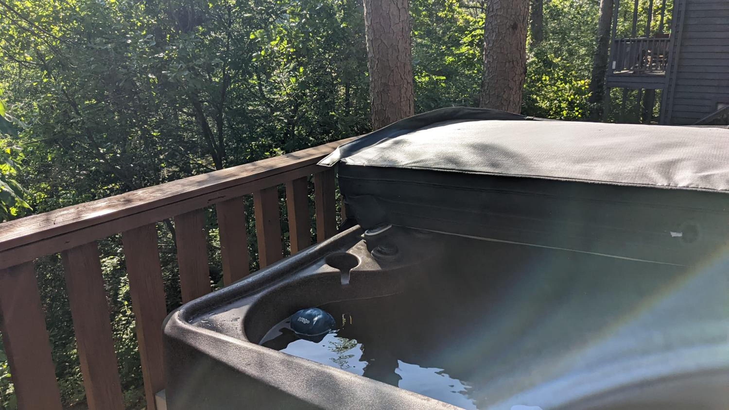 Loblolly Pines Adventure Log Cabin view 5