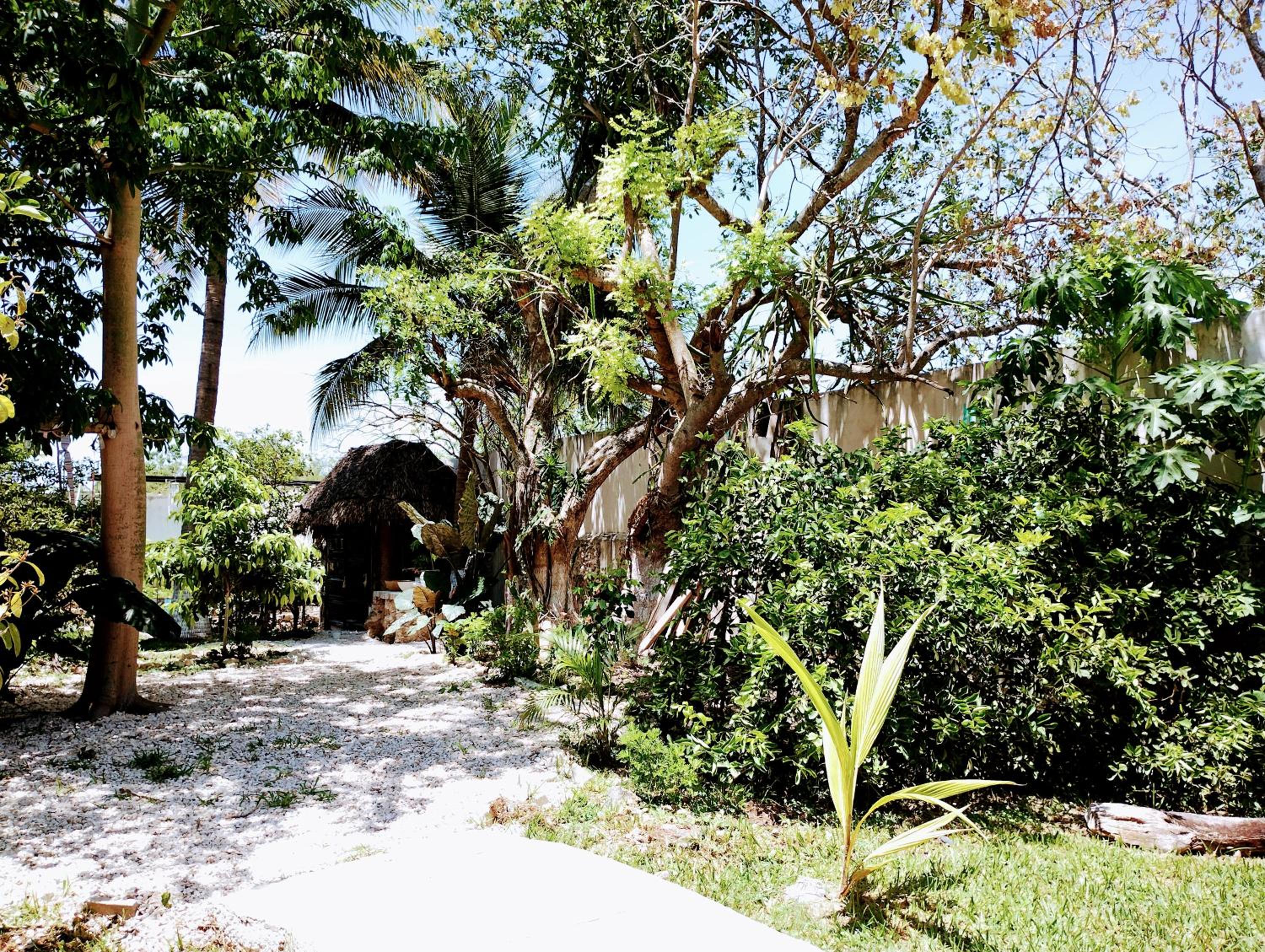 Photo 26