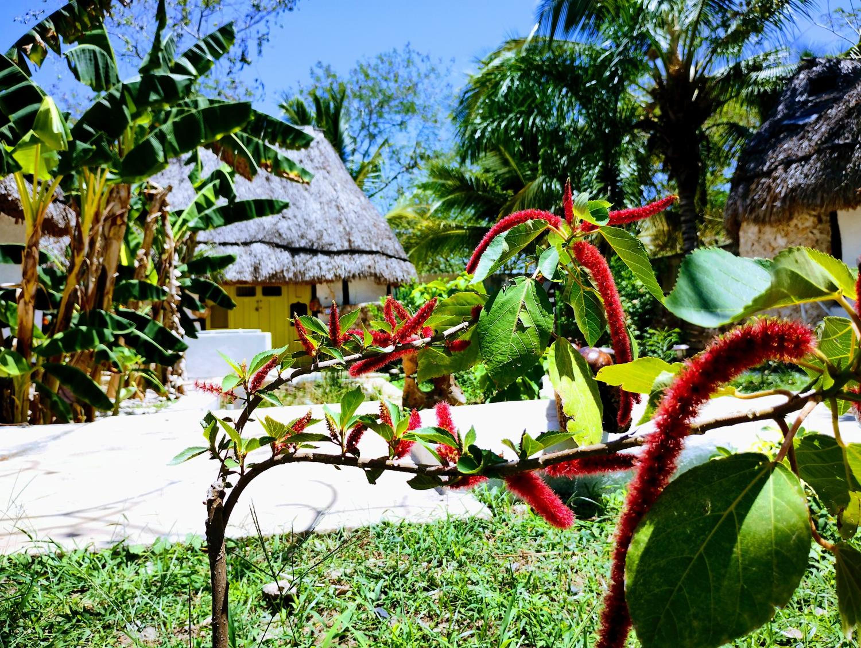 Photo 20