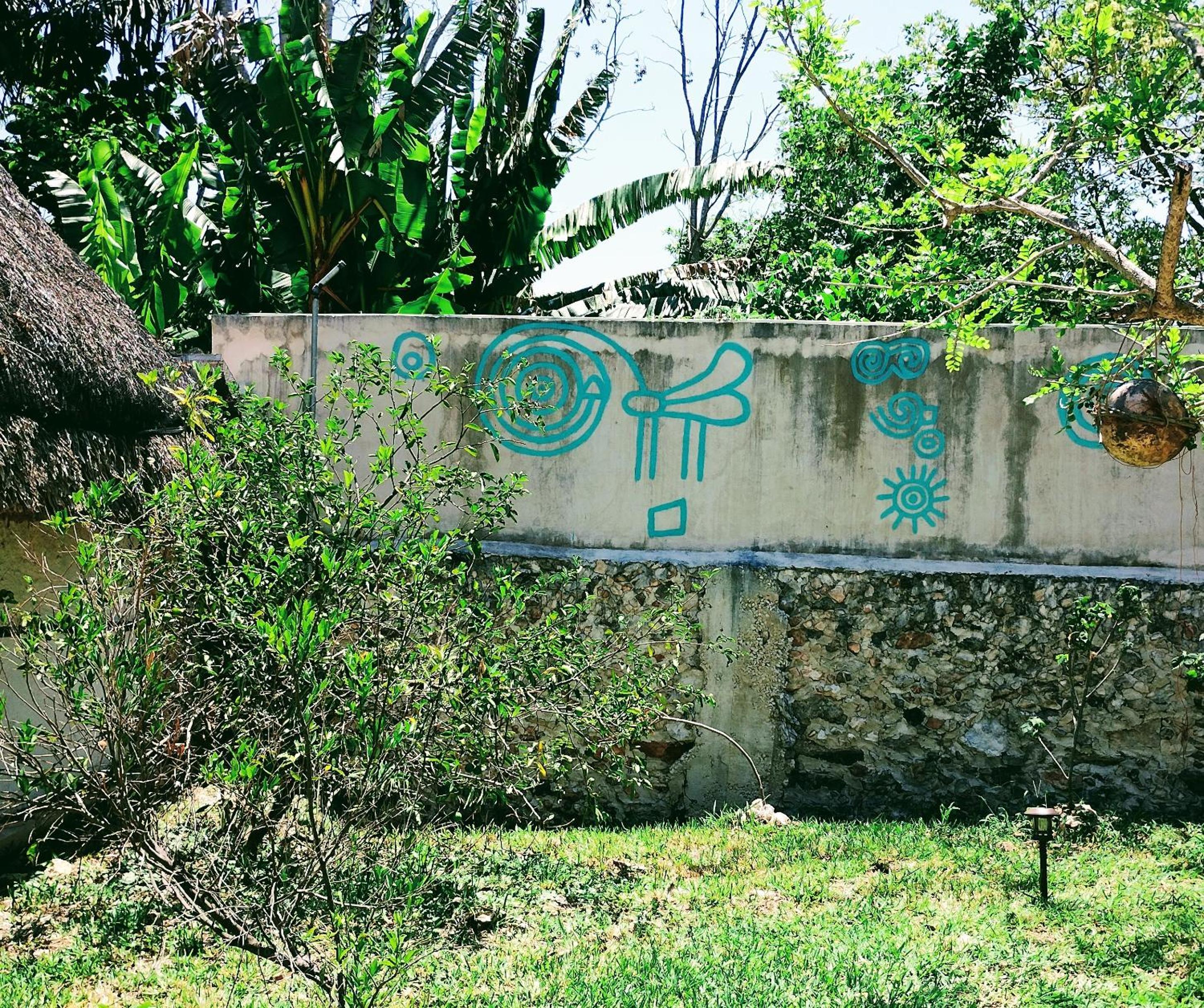 Photo 27