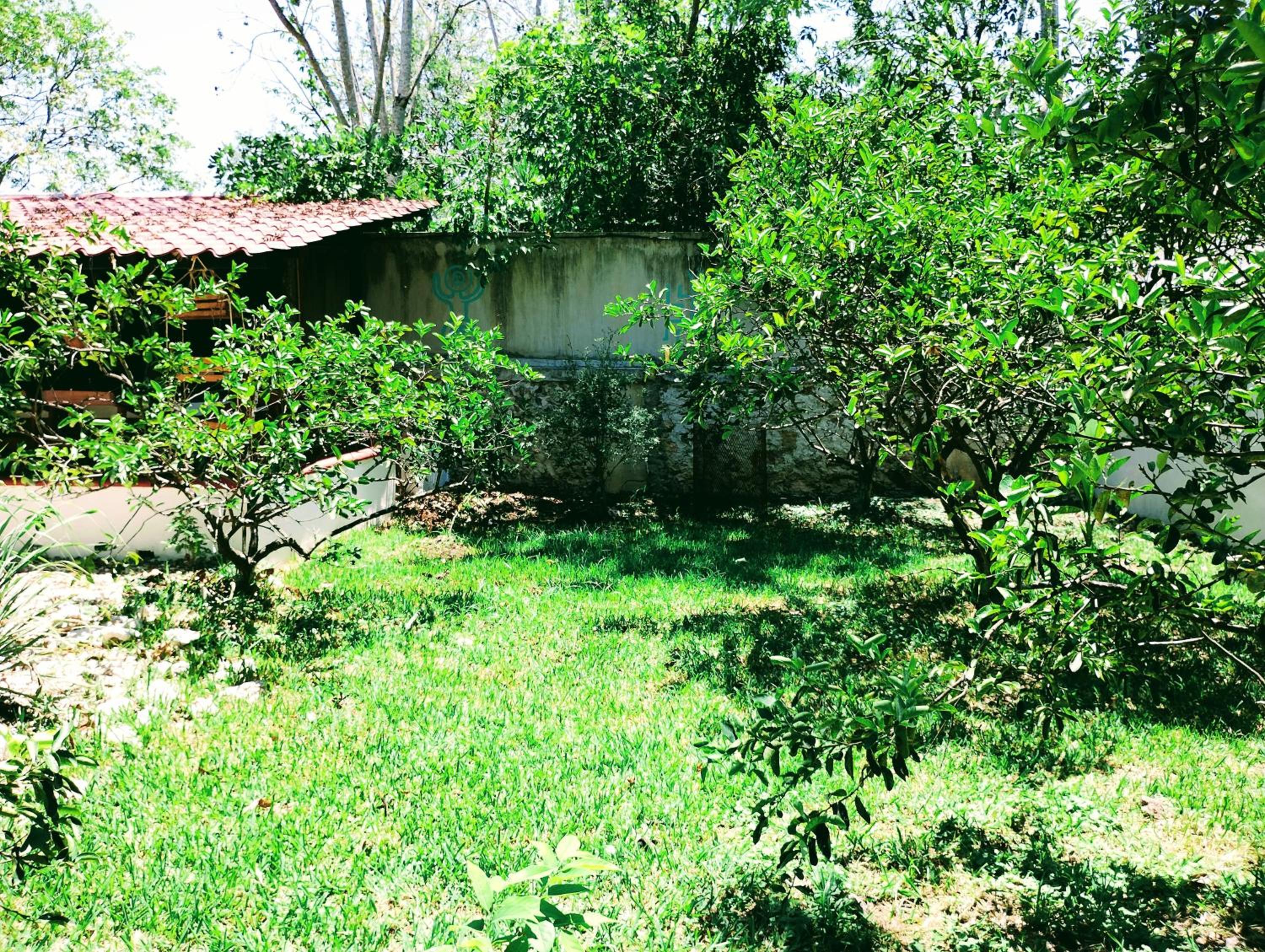Photo 45