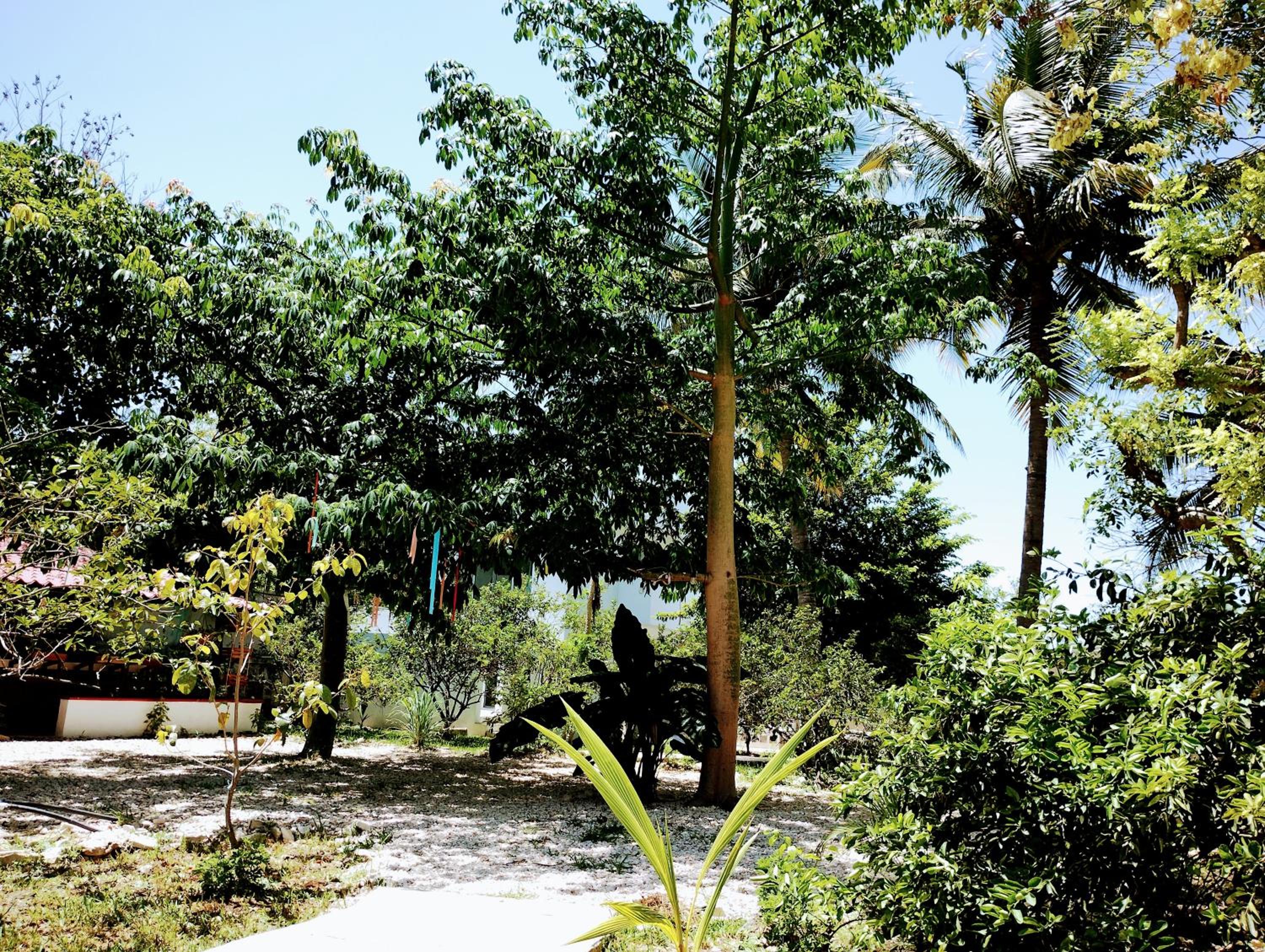 Photo 47