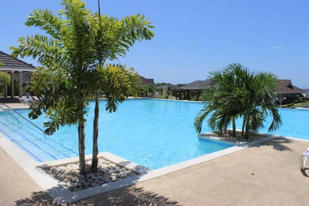 Photo 76