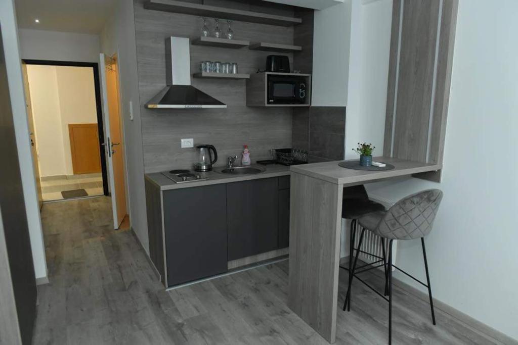 Apartman Maja 2 Crnjanski view 4