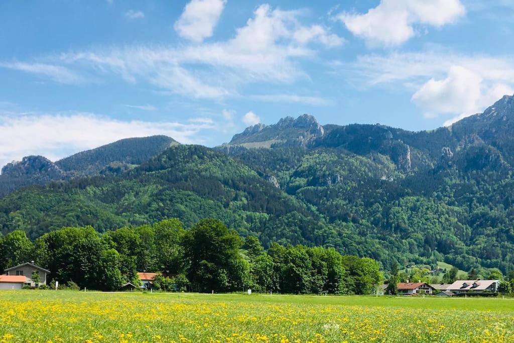 KampenZeit Ferienwohnung-traumhafter Panoramablick