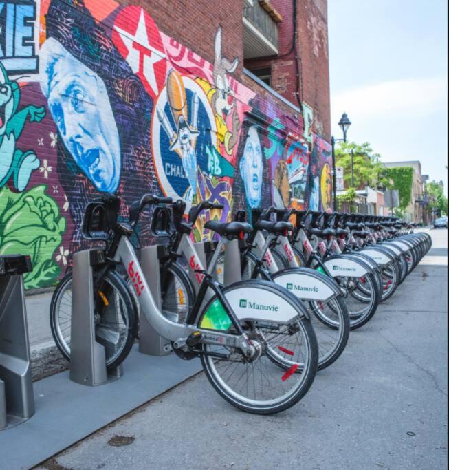 MtlVacationRentals - MTL ZOO