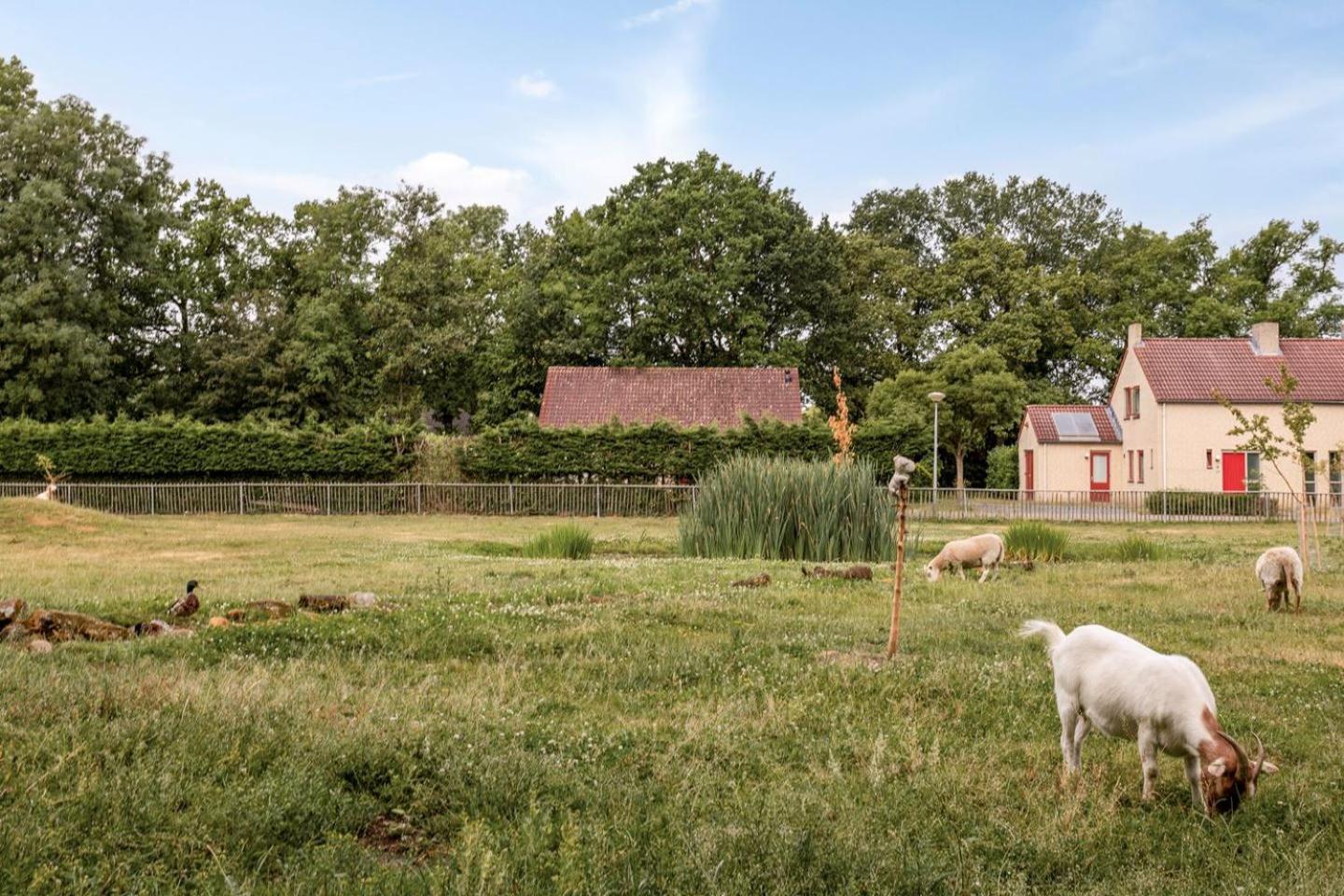 Gezellige vakantiewoning aan het water in Ewijk - recreational only no workers