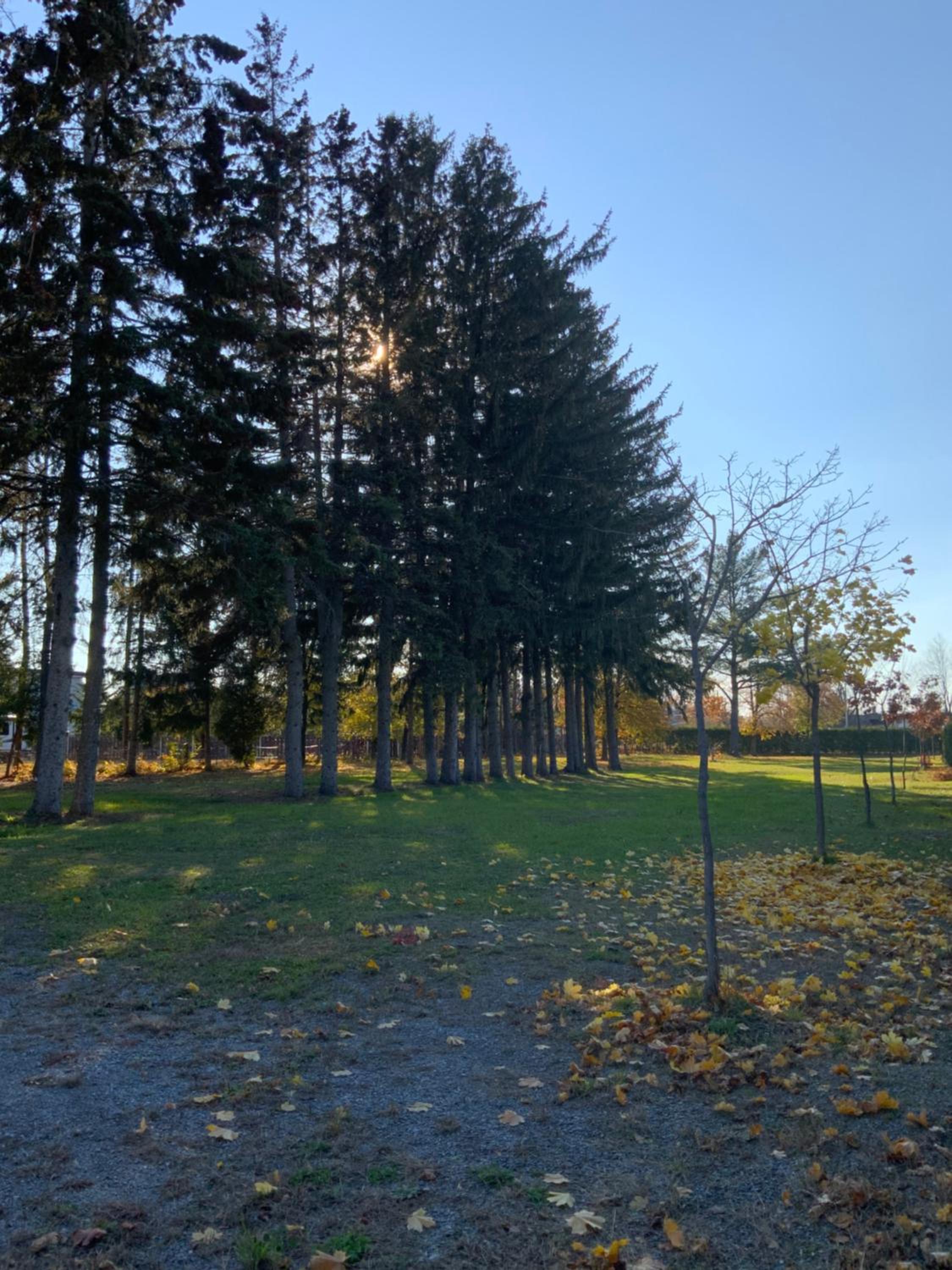 Trois-rivieres Vacations - Maisonnette dans la nature en pleine ville. - Property Image 23