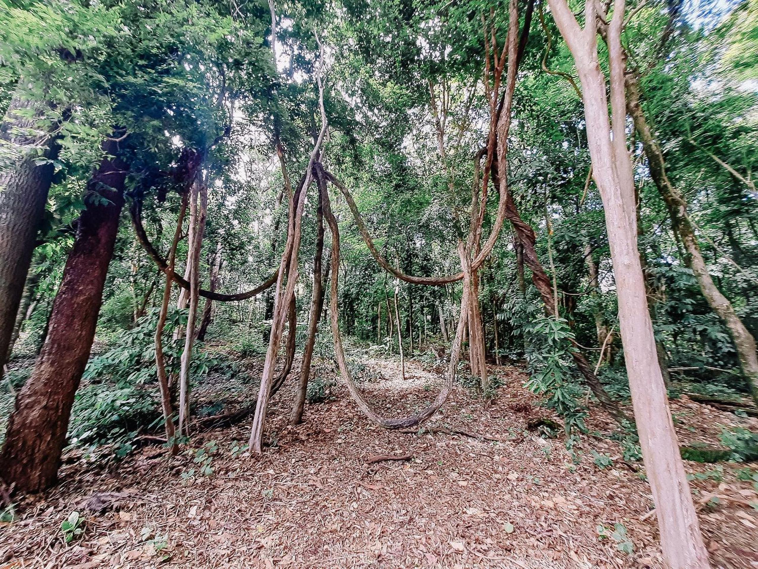 Recanto das Videiras - Casa em Vinícola