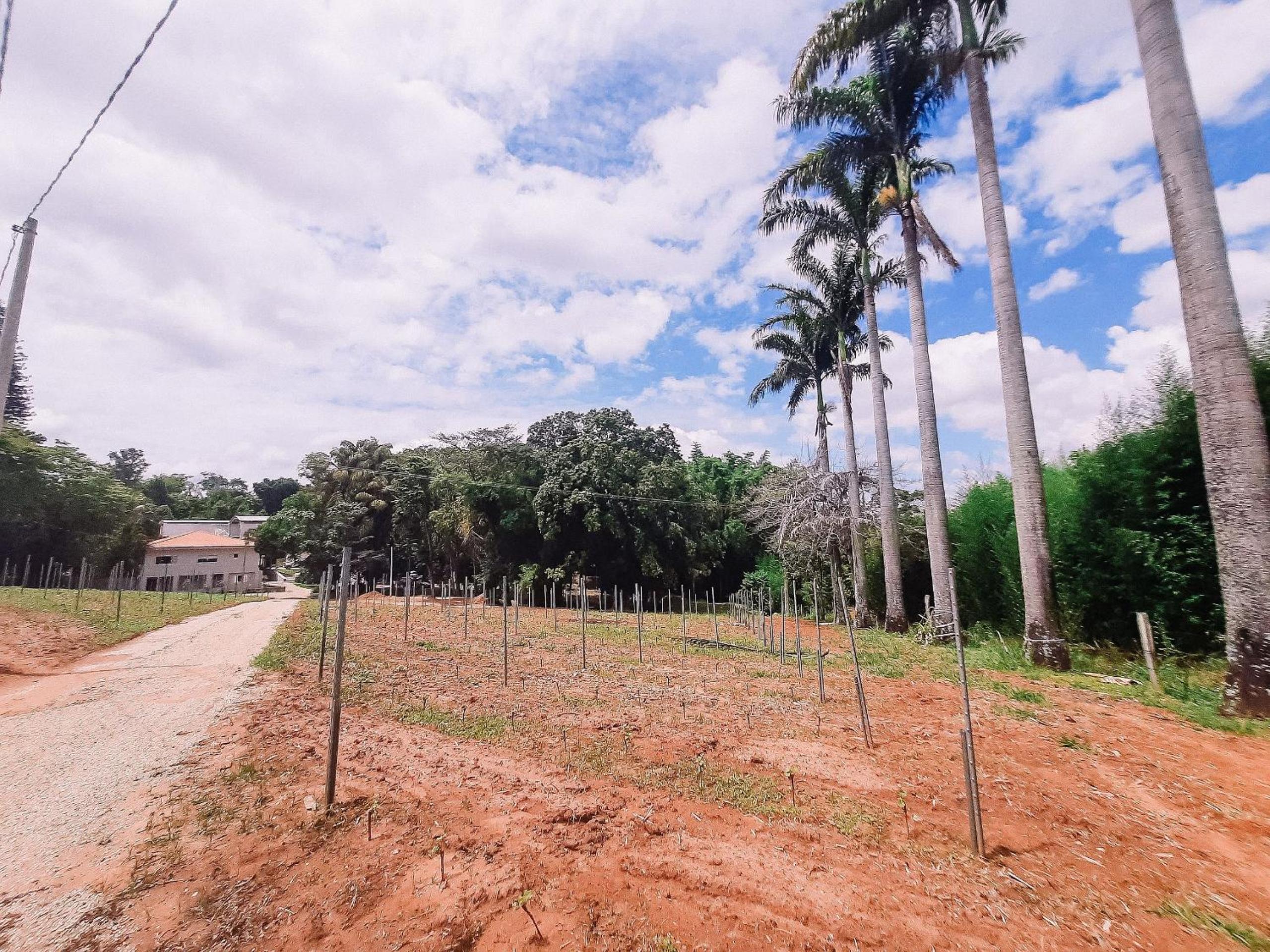 Recanto das Videiras - Casa em Vinícola