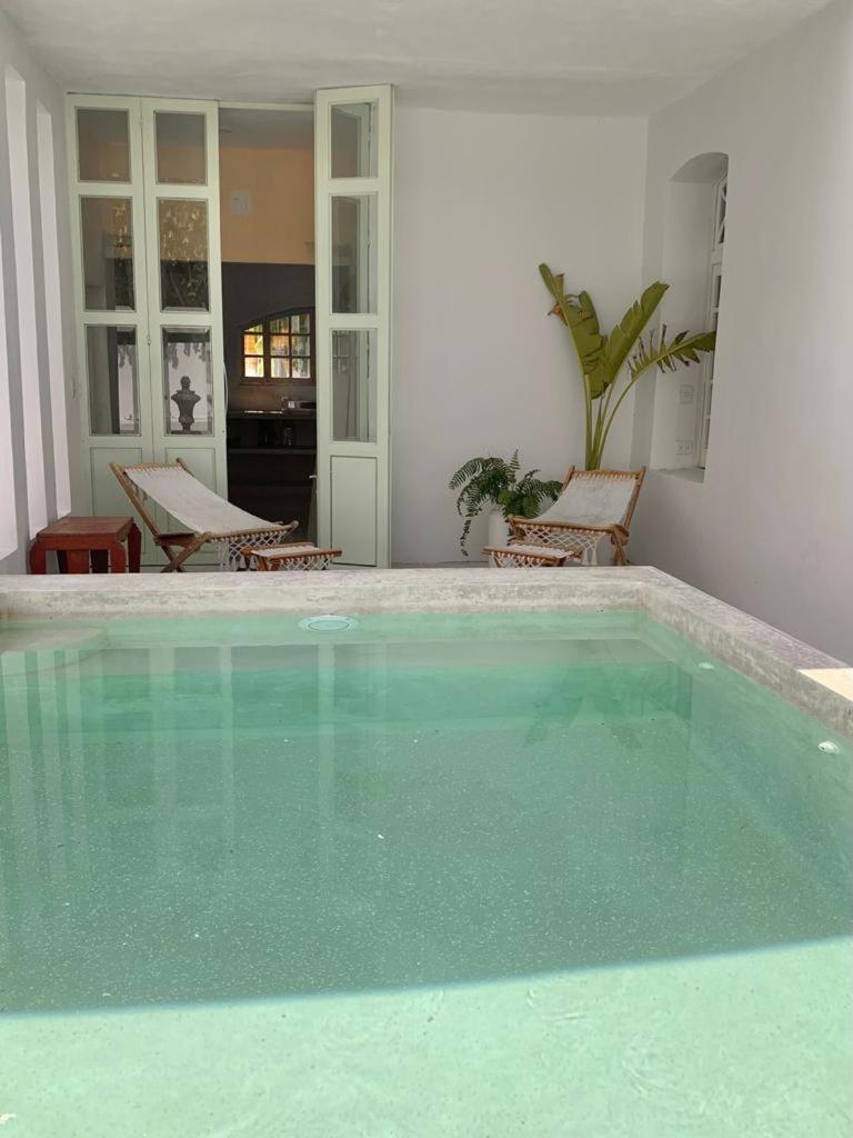 casa damiana view 2