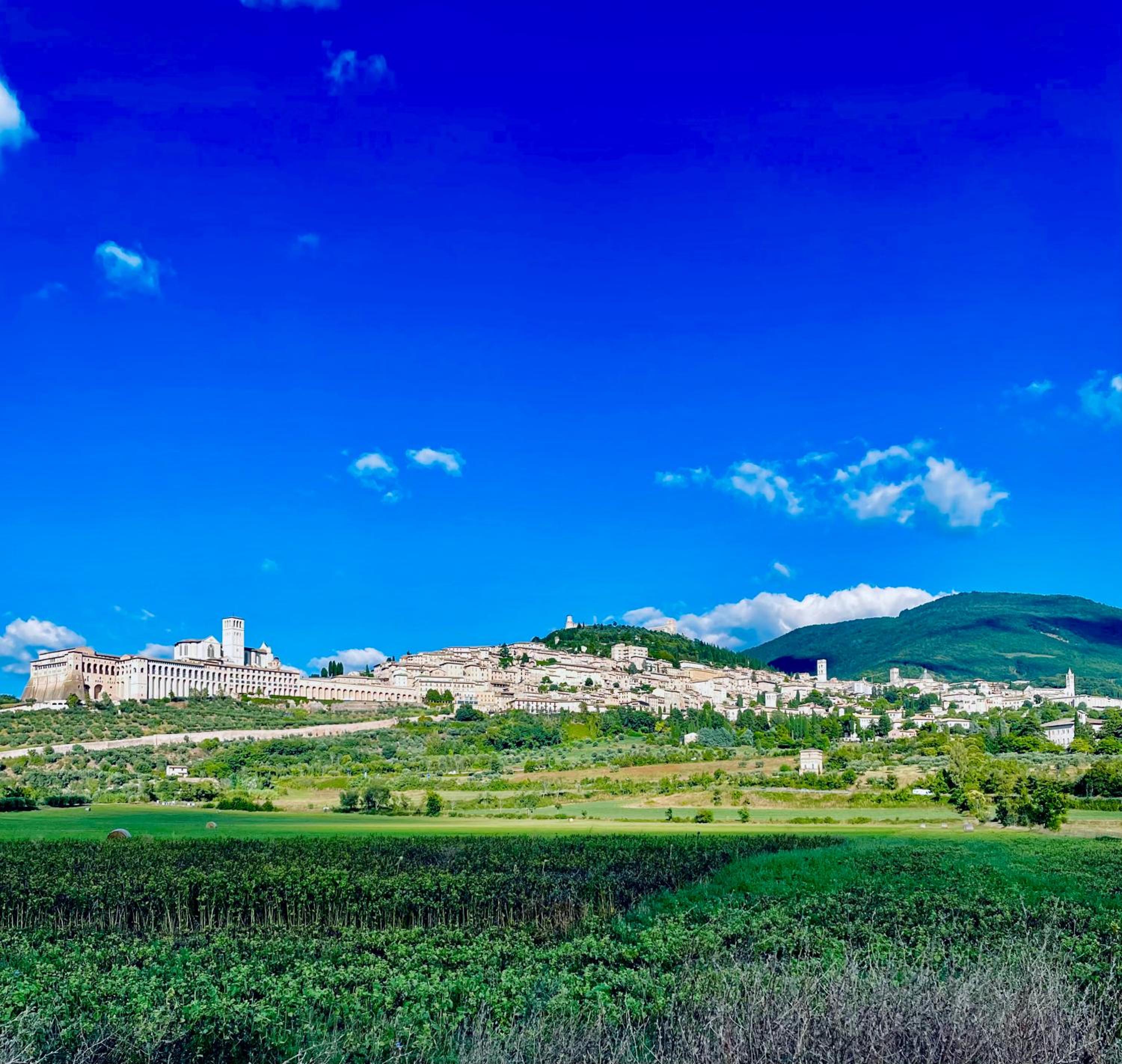 Uliveto