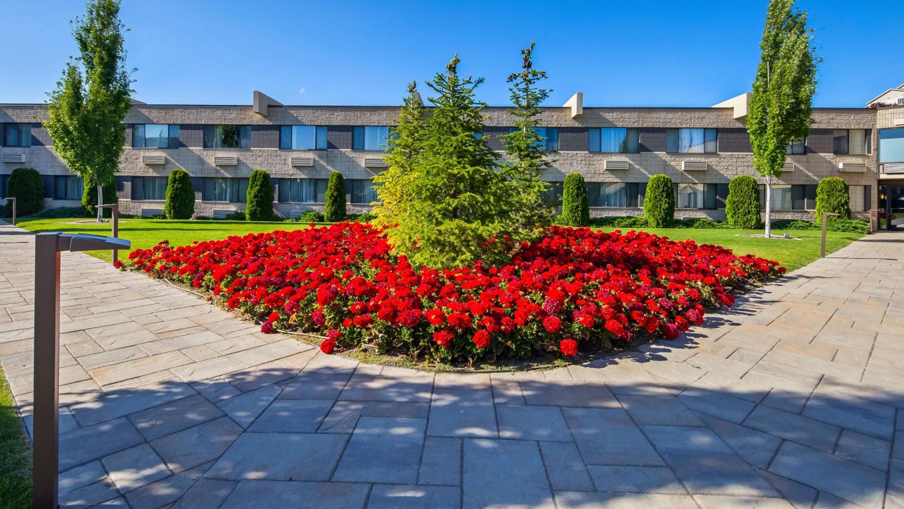Best Western Plus University Inn