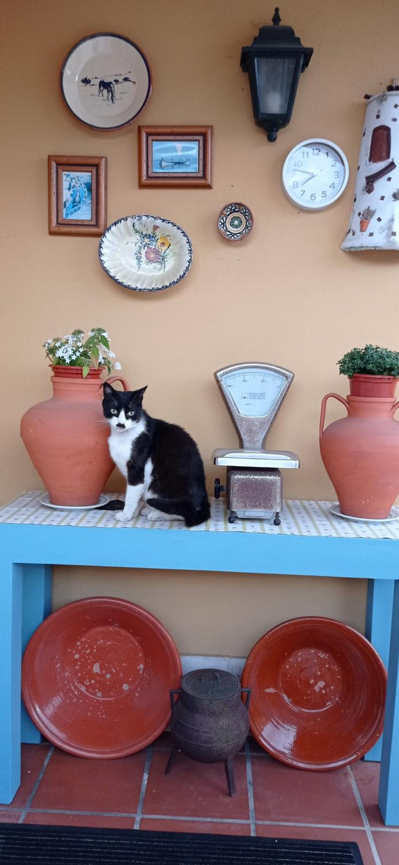 A Casa da Ti Laura - AL