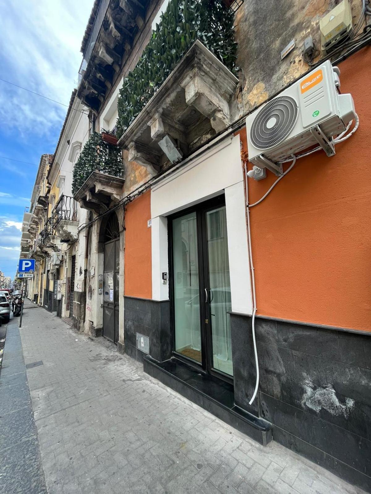 Arco Living Apartment