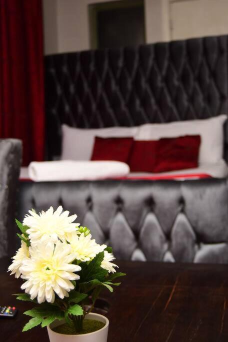 Cosy Furnished apartment next to JKAirport and SGR view 5