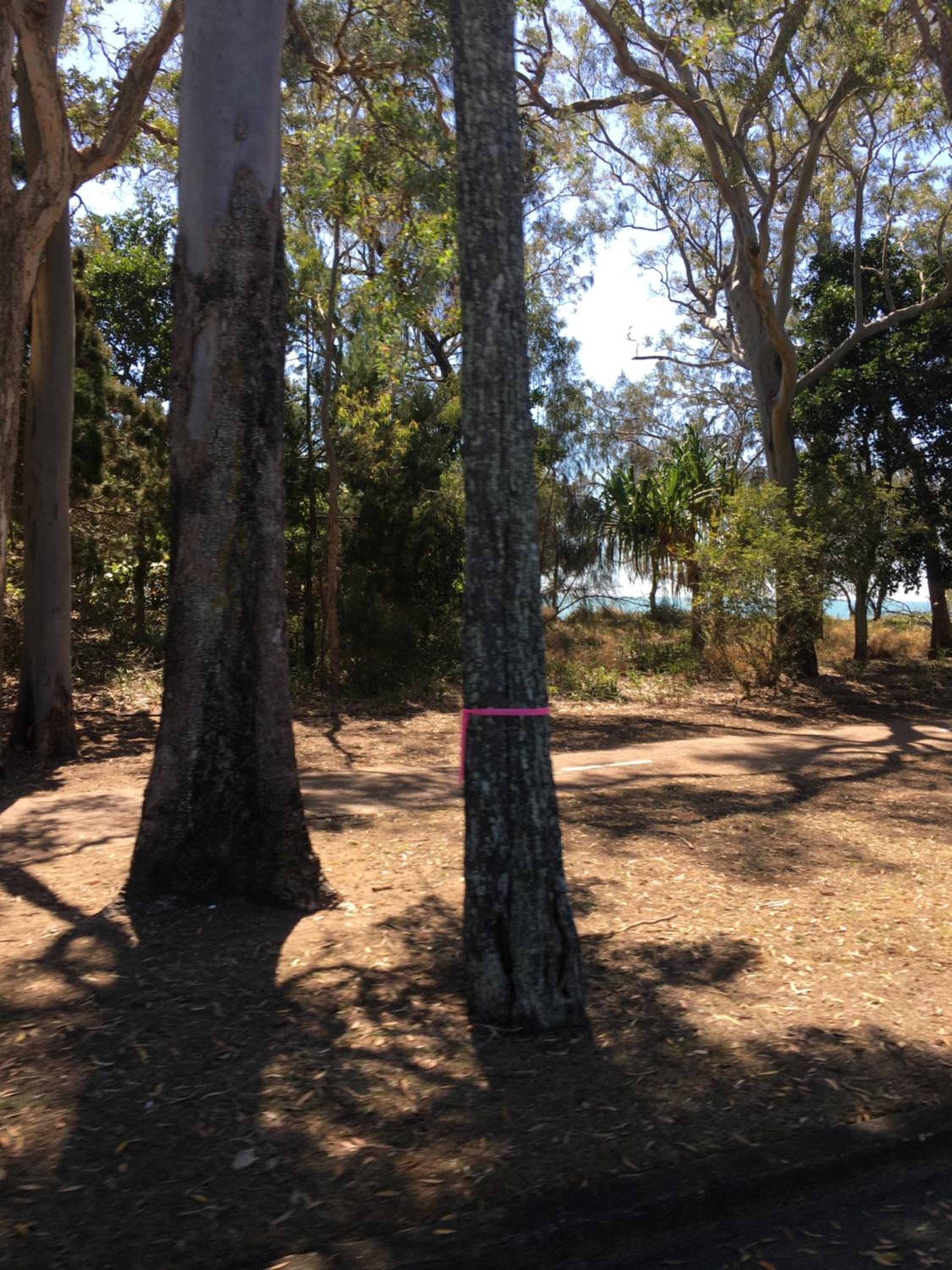 The Bay Beach Shack, Hervey Bay