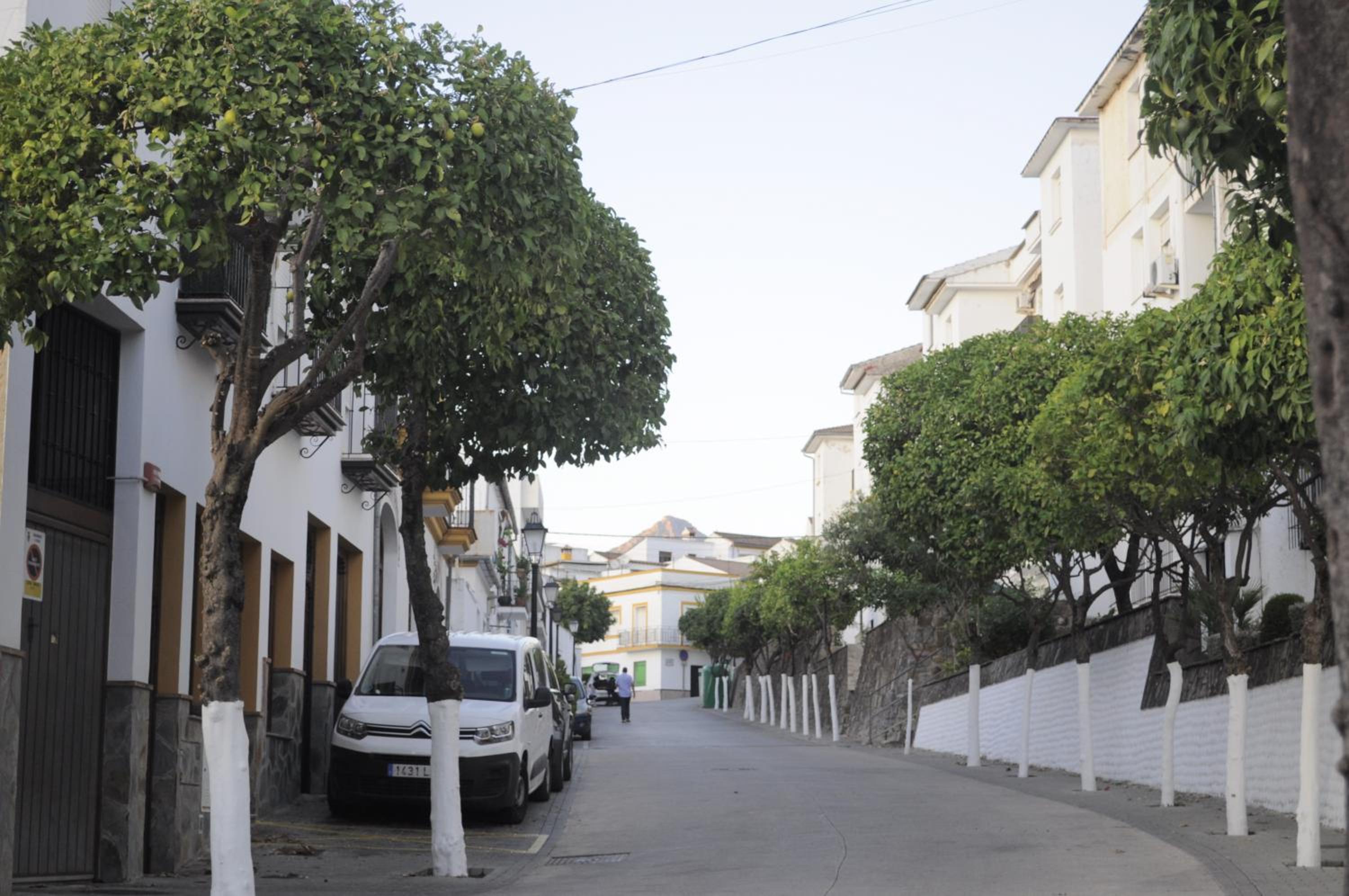 Azahares Apartamento turístico