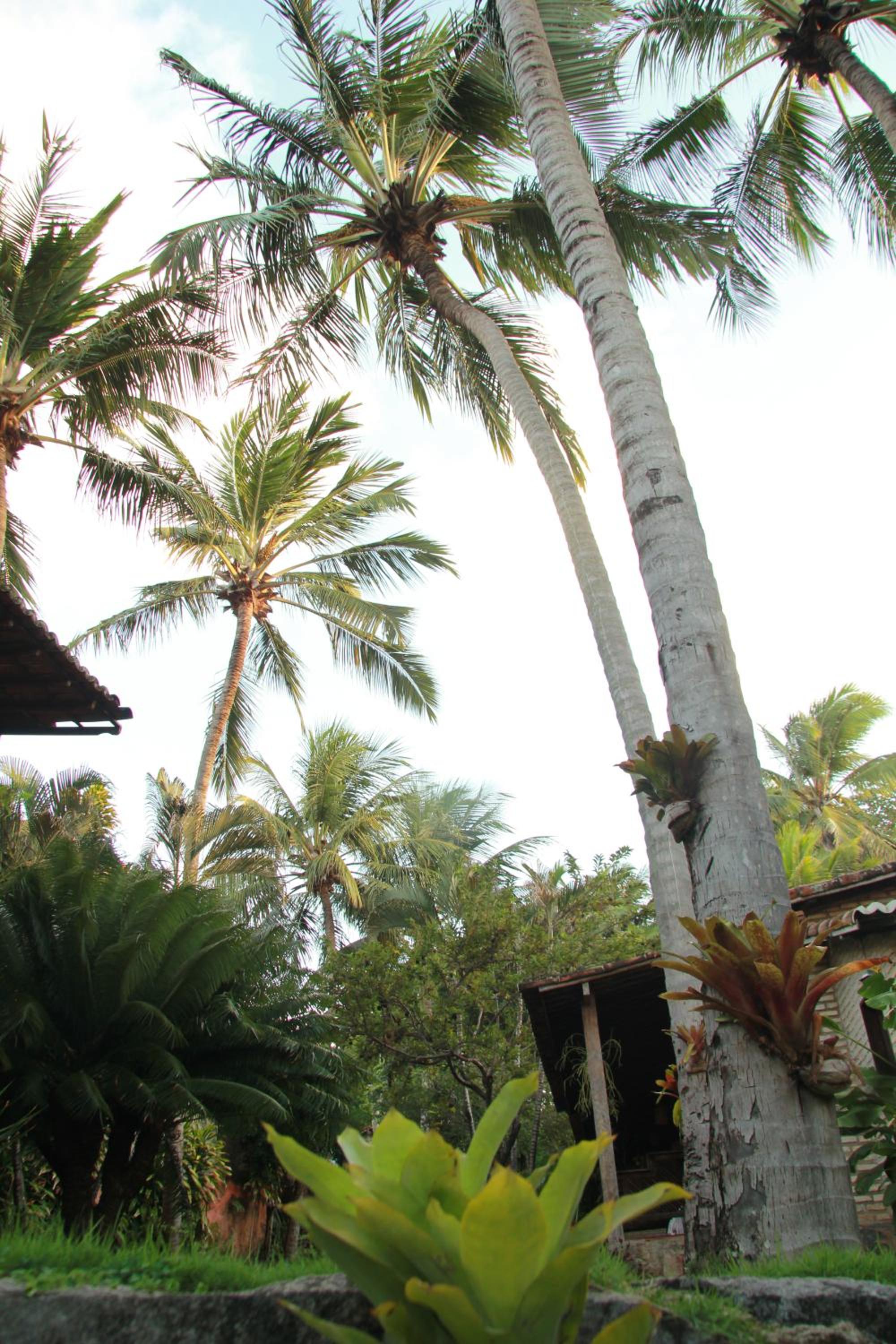 Pousada Oasis