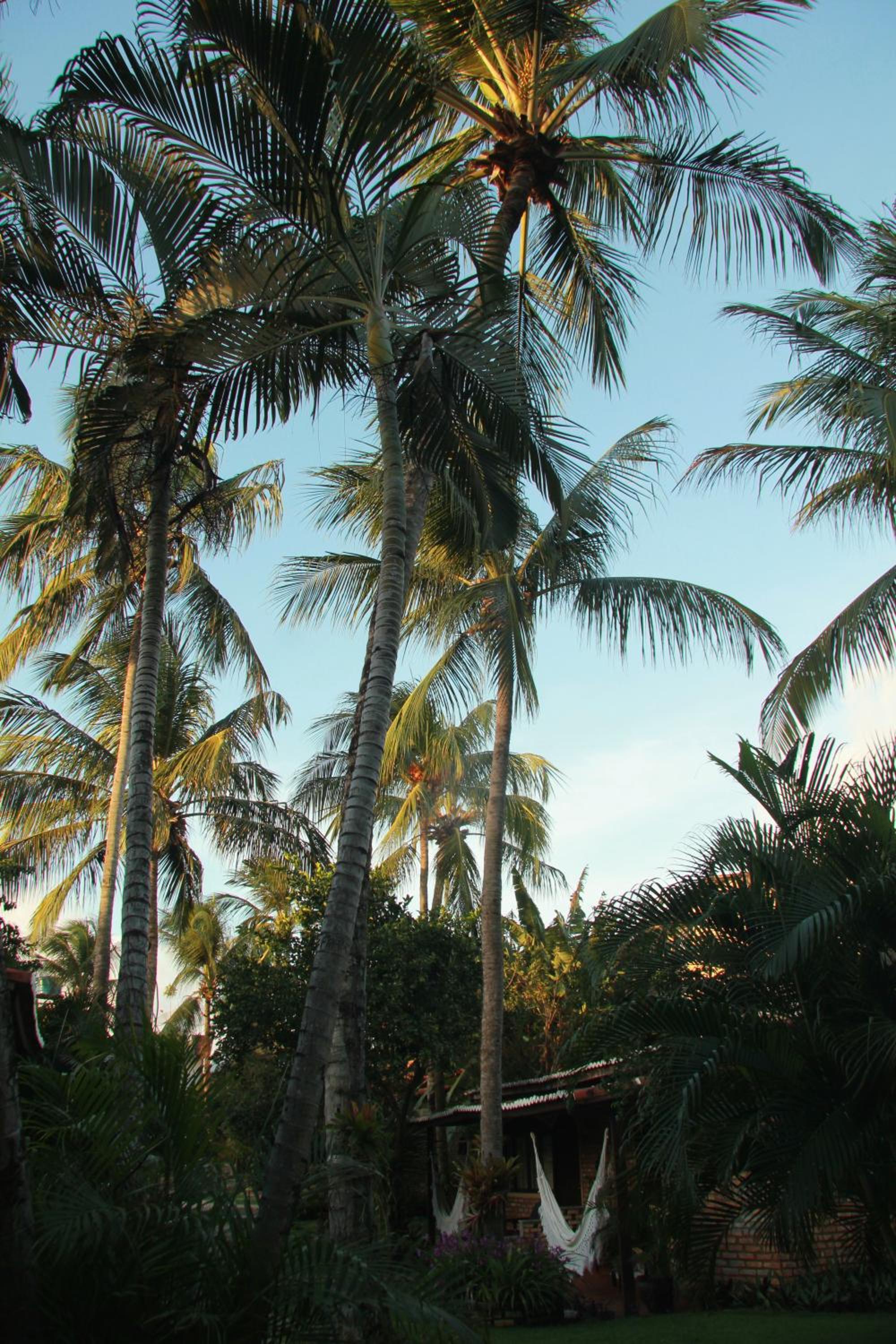 Pousada Oasis