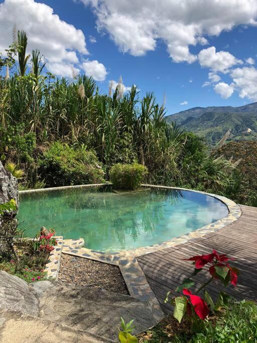 Gopal Ecolodge (ecofinca)