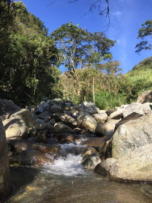 Gopal Ecolodge (ecofinca)