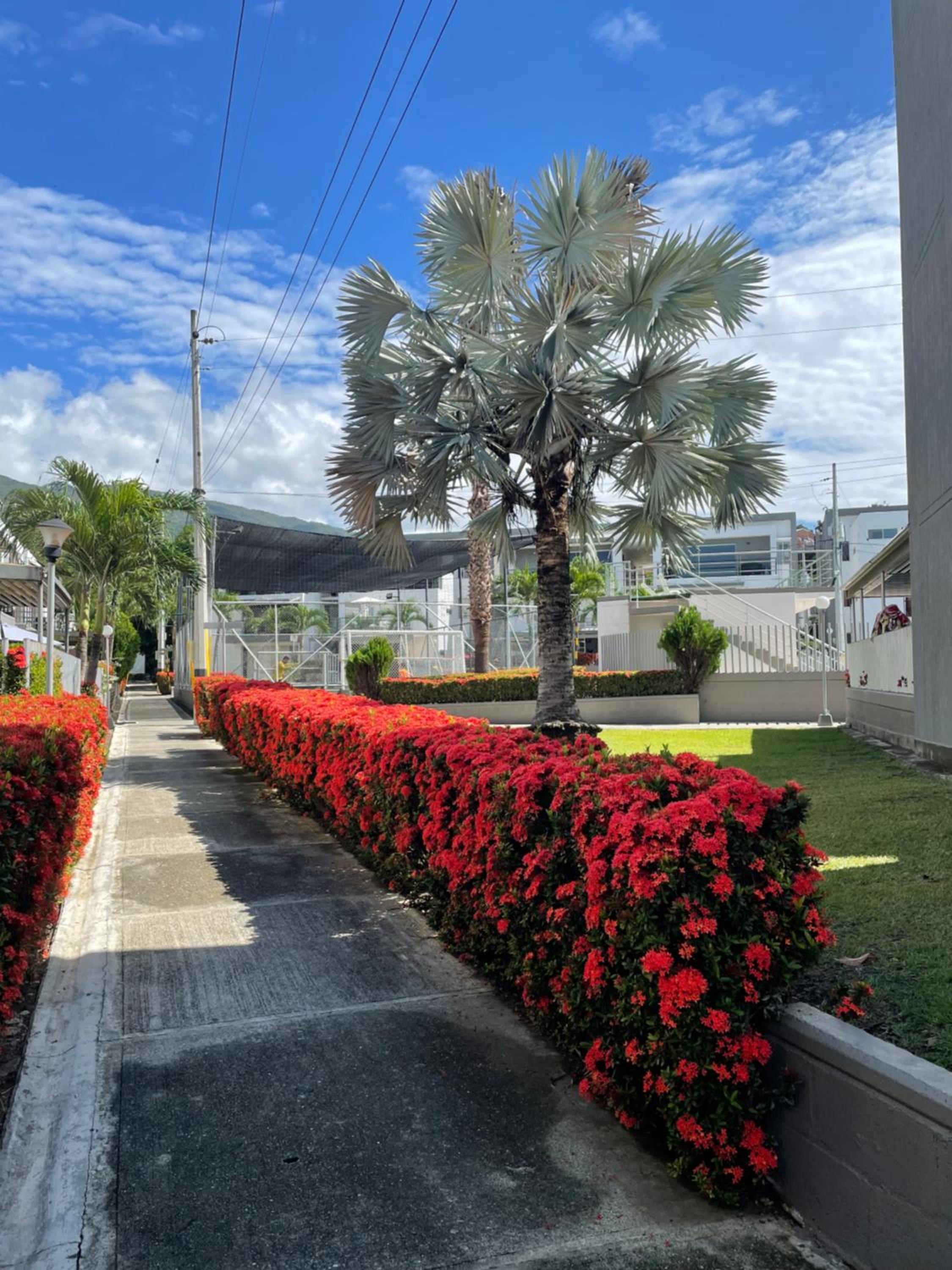 Apartasol Santafe de Antioquia 15