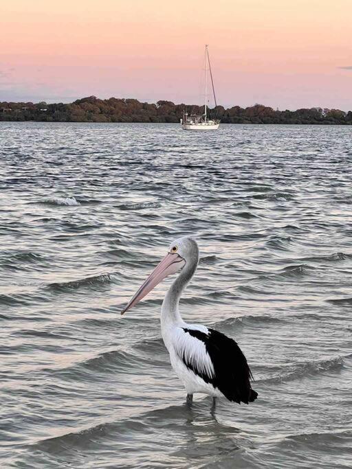 Sandstone Point and Bribie Beaches