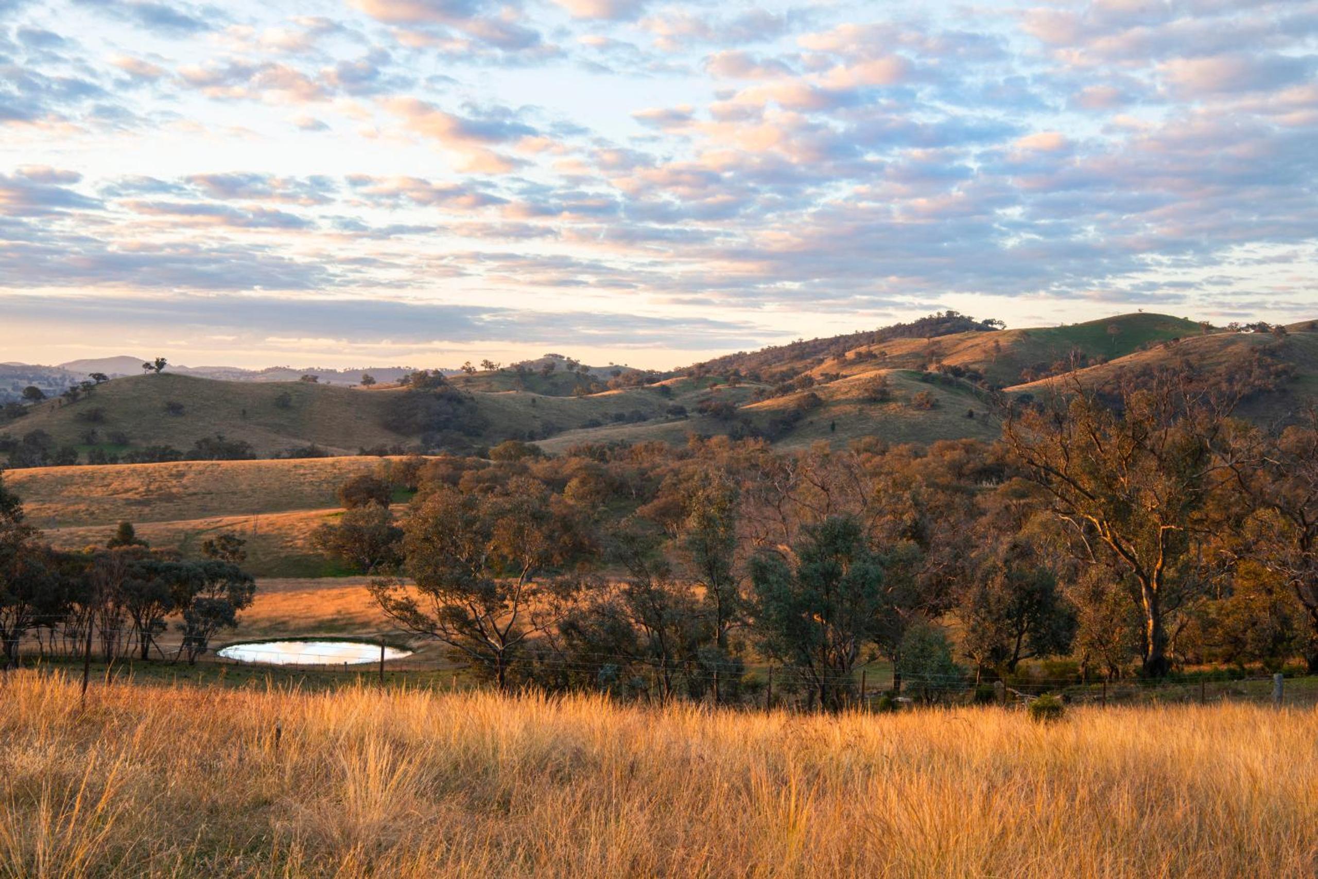 Sunstone - 2 Bed Eco Cabin - Kundalini Lodge