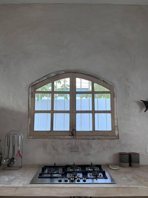 casa damiana view 3