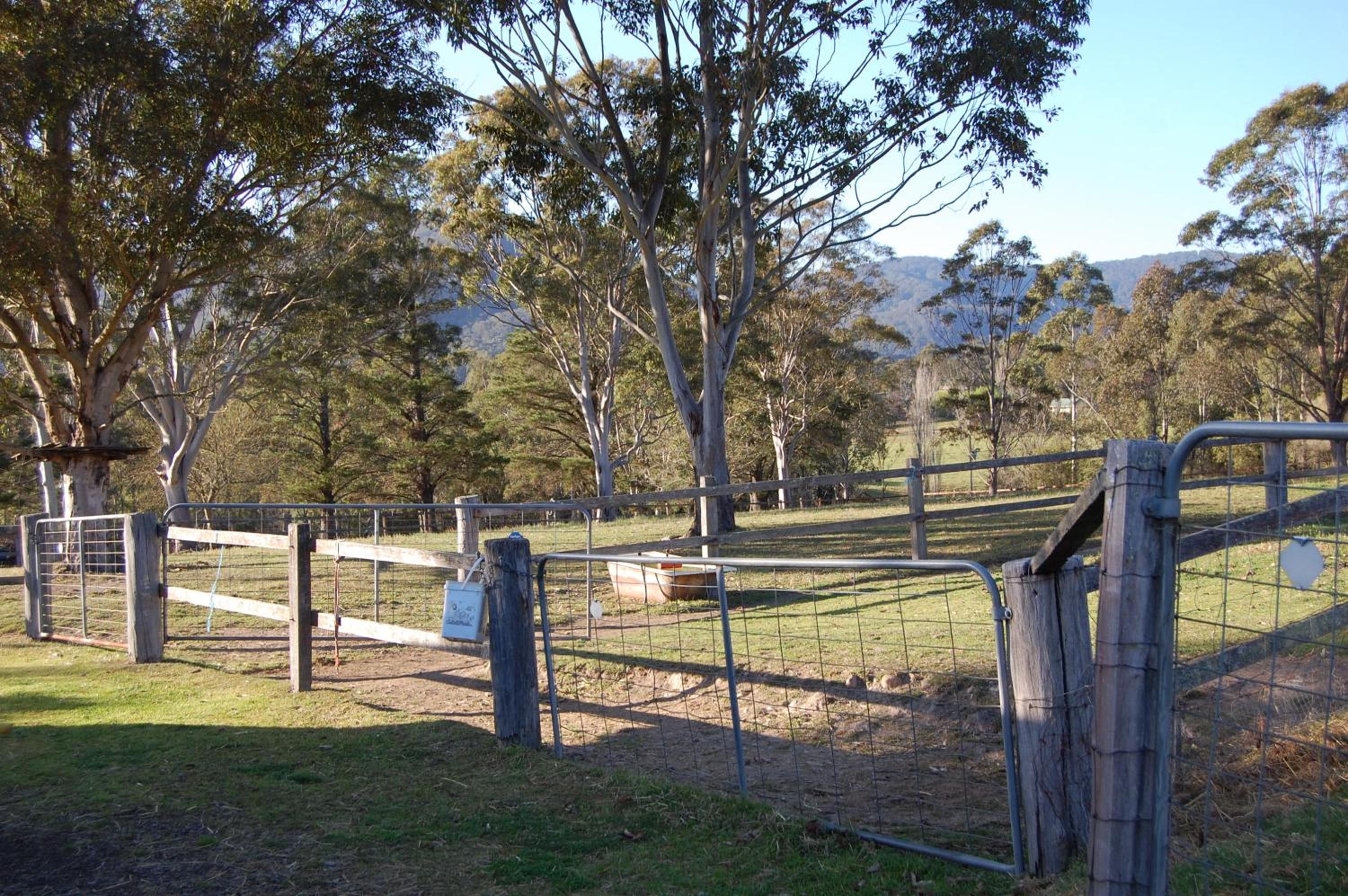 The Big Bell Farm