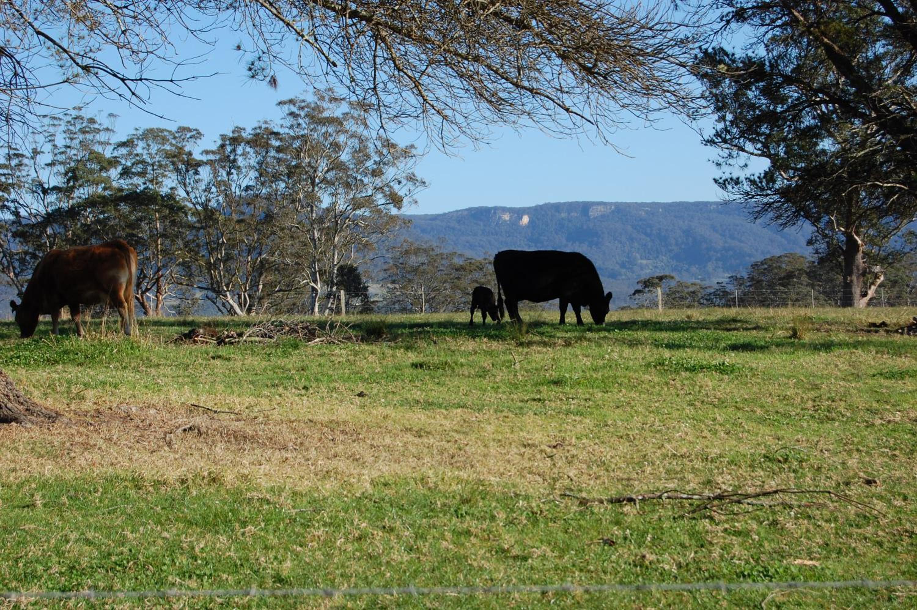 The Big Bell Farm