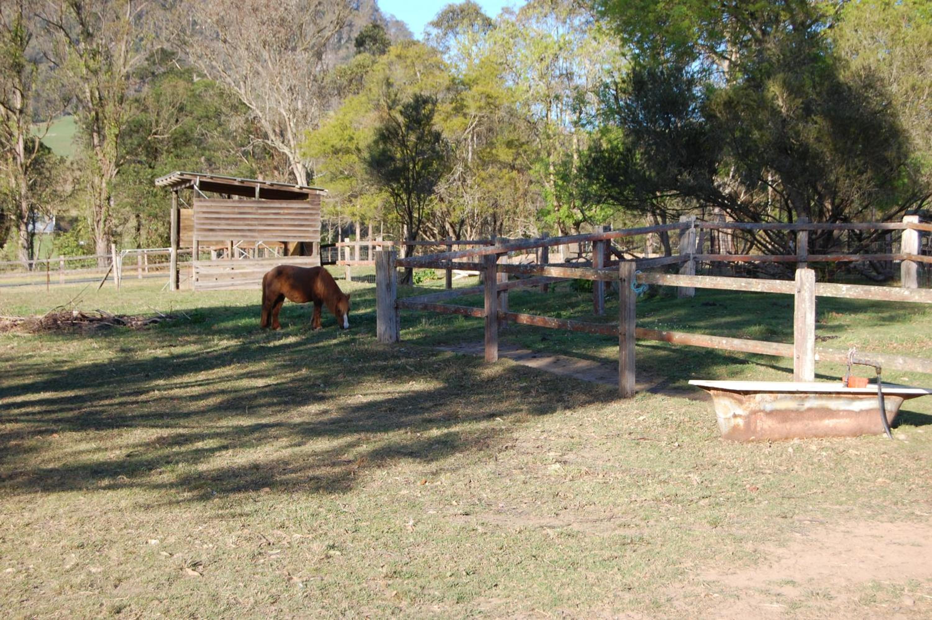 The Big Bell Farm